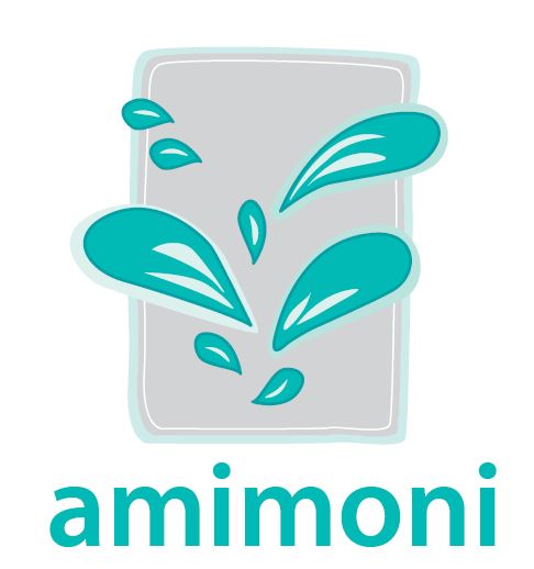Amimoni logo displayed alongside modulus Corporate Social Responsibility support initiative branding.
